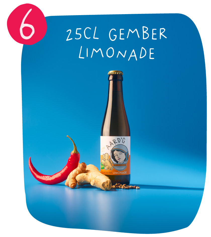 6. Gember Limonade 25cl